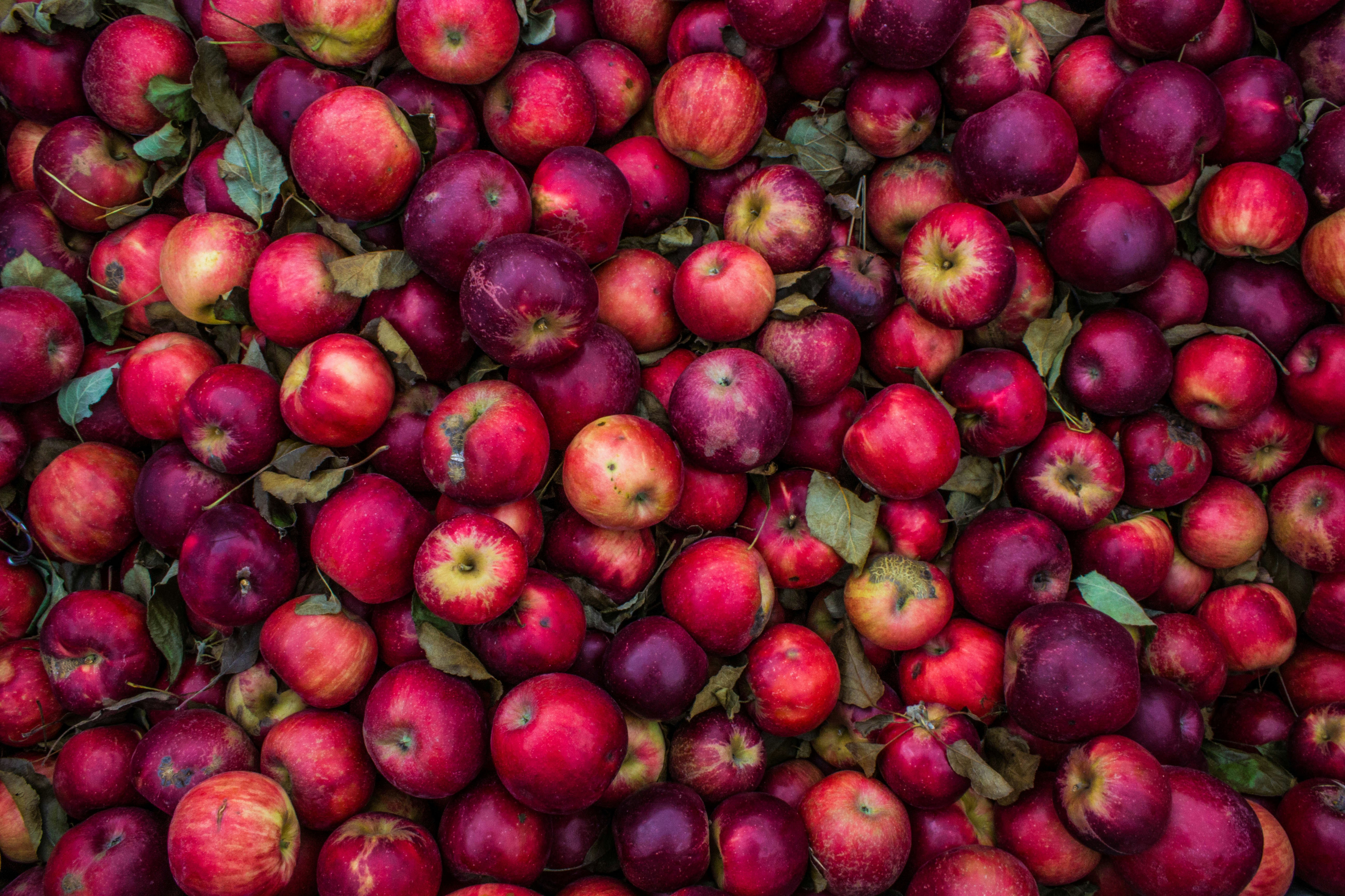 Lots of apples in a pile Photo by sydney Rae on Unsplash