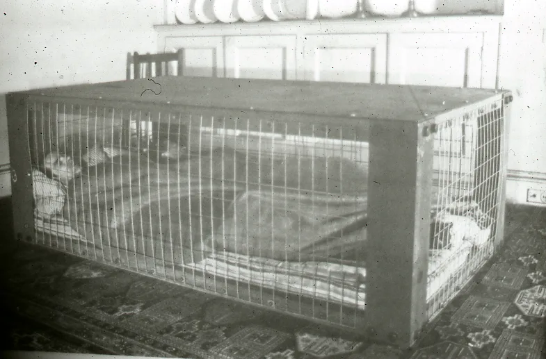 Morrison Shelter as used in WW2